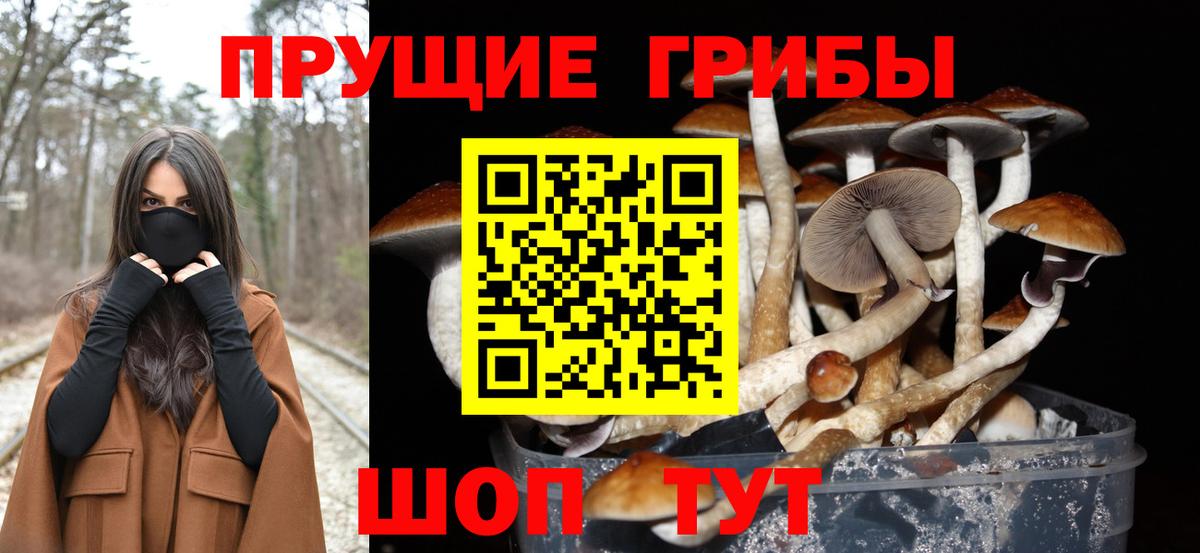 Галлюциногенные грибы ЛСД  Вход с VPN  Ачхой-Мартан 
